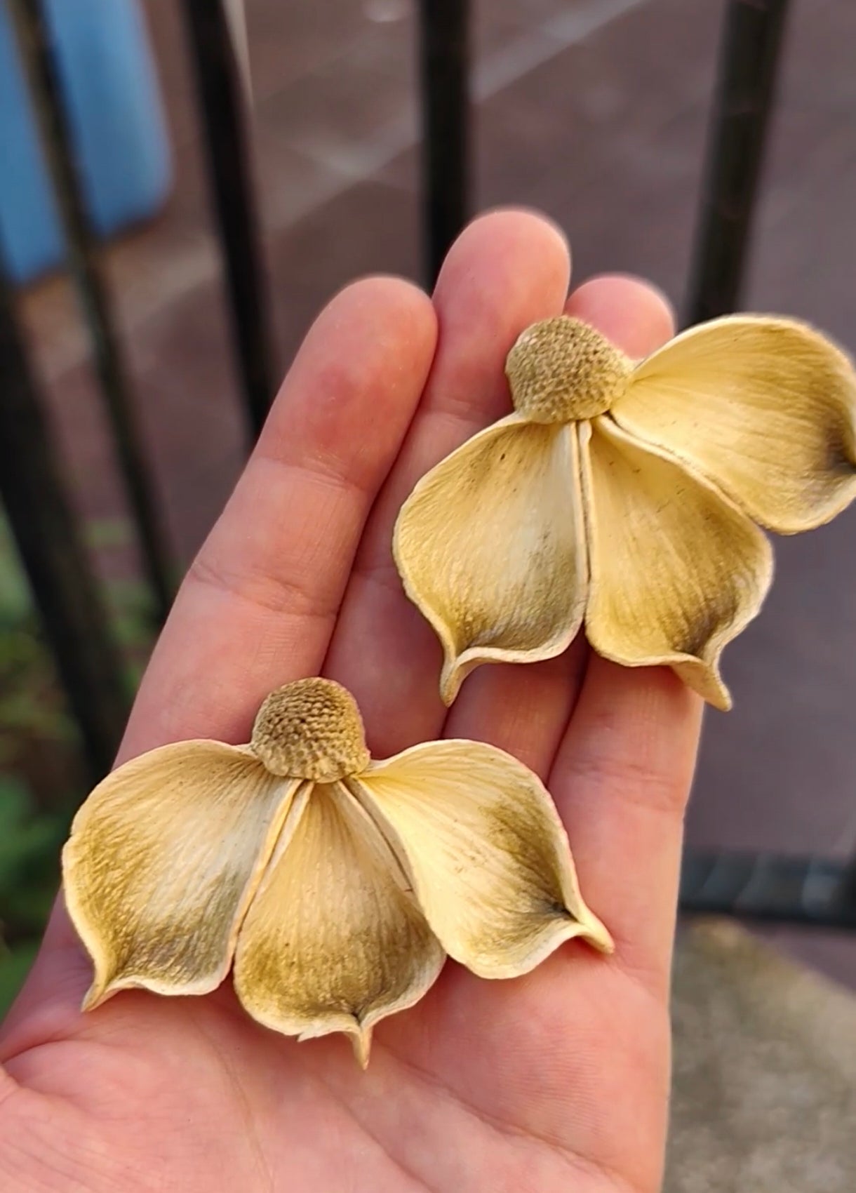 Pendientes Media Flor Seca ✨